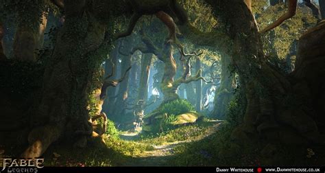 The Magic Forest: A Sanctuary for the Soul